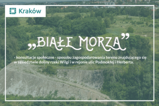 zdjęcie z lotu ptaka terenu Białych Mórz. Fot. Jan Graczyński