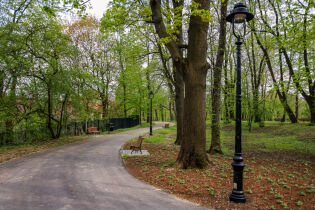 Spacer dendrologiczny w parku Bednarskiego