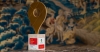 Google's Golden Pin for Wawel!