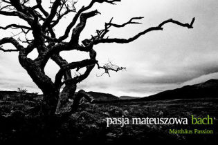 Pasja mateuszowa Bacha/> </figure> </div> <div class=