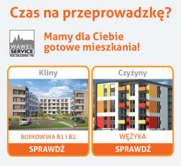 Wawel Service 4.jpg