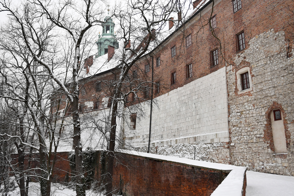 dsc_6142 copy.jpg-Kraków w śniegu  Autor: W. Majka