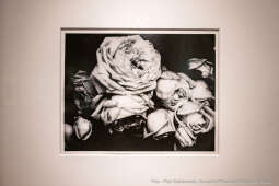 Edward Steichen, MuFo, fotografia, wystawa, wernisaż, MNAHA, Majchrowski