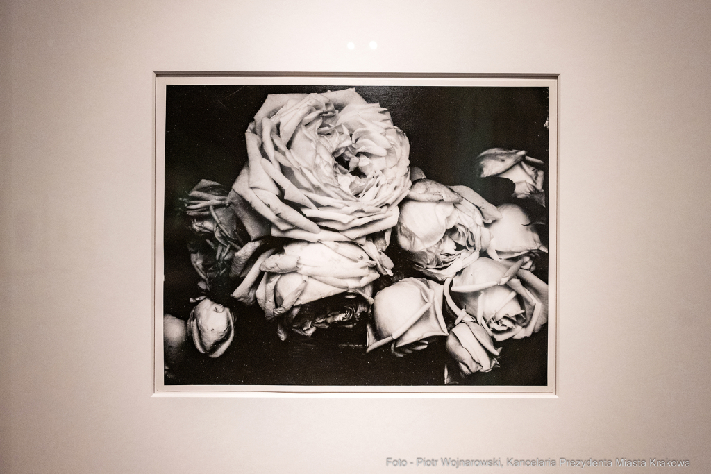 Edward Steichen, MuFo, fotografia, wystawa, wernisaż, MNAHA, Majchrowski  Autor: P. Wojnarowski