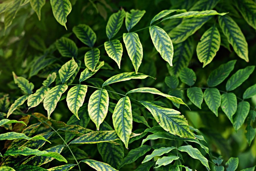 Fot. pixabay.com