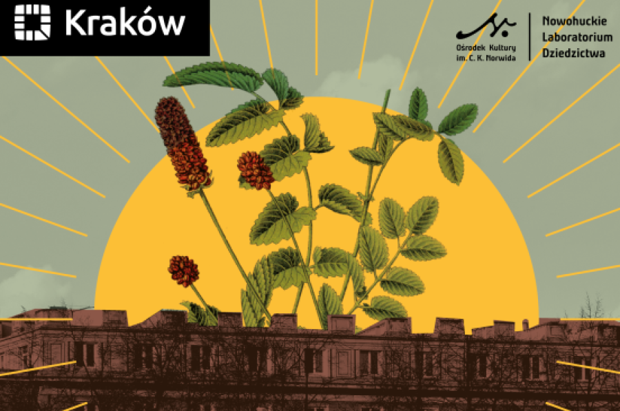 Fot. materiały prasowe