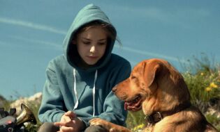 Letnie Tanie Kinobranie pod hasłem Kino Europy
