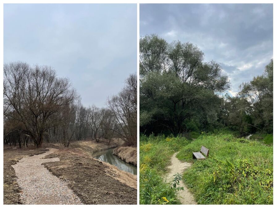 park rzeczny Wilga