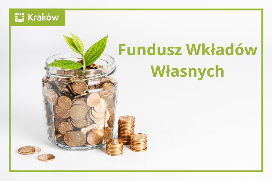 na zdjęciu widzimy słoik wypełniony monetami i wyrastająca z niego rośliną