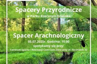 Spacer arachnologiczny w parku rzecznym Drwinka