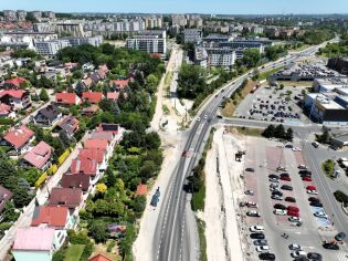 Te rośliny zostaną nasadzone wzdłuż linii tramwajowej do Mistrzejowic tramwajdomistrzejowic.pl