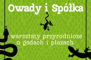 Fascynujący świat gadów i płazów