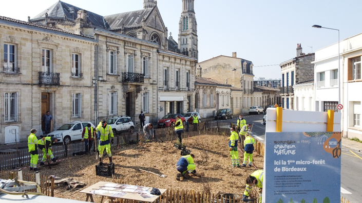 Planting of the first Bordeaux micro-forest in Billaudel Square