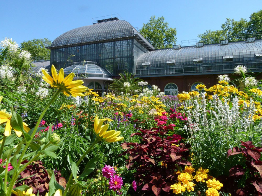 Ogród Botaniczny we Frankfurcie nad Menem