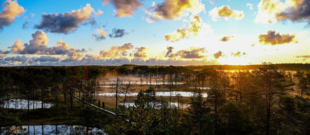 Park Narodowy Lahemaa w Estonii - malowniczy zachód słońca nad lasem i moczarami