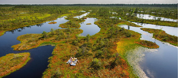 Wyspy Estonii - malowniczy widok z góry na zielony obszar wyspy pokryty jeziorami i moczarami