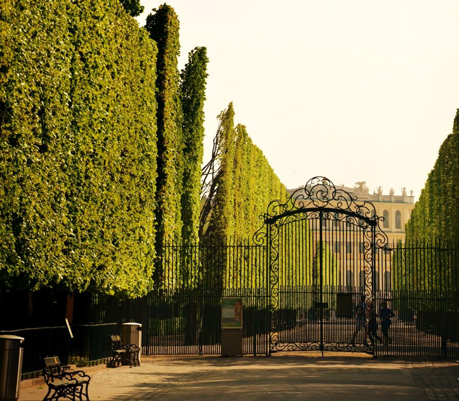Pałac Schönbrunn w Wiedniu. Drzewa i kuta brama na pierwszym planie, w oddali budynek pałacu 