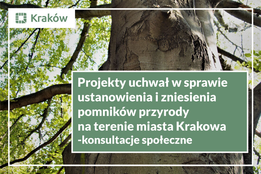 zdjęcie drzewa a na zielonym tel bały napis z tytułem konsultacji. Obrazek w ramie Miasta Krakowa