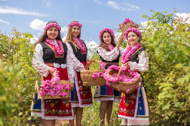 Kazanłyk w Bułgarii - zbiory róż