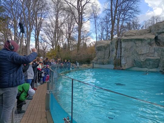 Dzieci ze Lwowa w krakowskim Zoo obserwują karmienie pingwinów