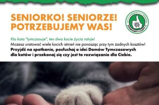Domy Tymczasowe dla kotów. Fot. Kraków Dla Seniora