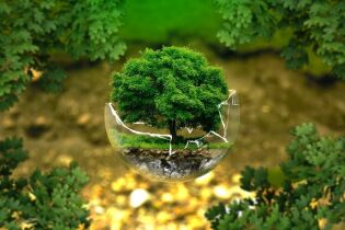 Ziemia i ekologia . Fot. pixabay.com