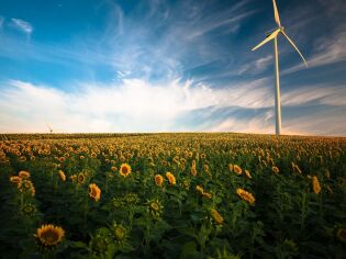 odnawialne źródła energii, wiatraki, energia, ekologia. Fot. Pixabay