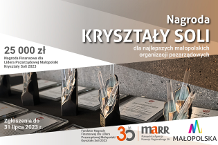 Nabór zgłoszeń do nagrody Kryształy Soli 2023. Fot. Urząd Marszałkowski Województwa Małopolskiego