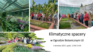 Zaproszenie na spacer klimatyczny w Ogrodzie Botanicznym UJ 5 września