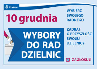 Działaj na rzecz lokalnej społeczności! Weź udział w wyborach do Rad Dzielnic . Fot. Fot. krakow.pl