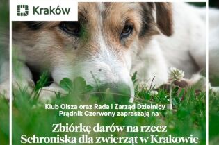 Zbiórka dla zwierzaków w dzielnicy Prądnik Czerwony. Fot. materiały prasowe