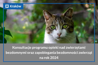 Konsultacje programu opieki nad zwierzętami bezdomnymi oraz zapobiegania bezdomności zwierząt na rok 2024. Fot. Pixabay