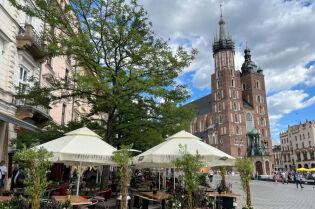 rynek główny kawiarnia drzewa lato. Fot. Bogusław Świerzowski / www.krakow.pl