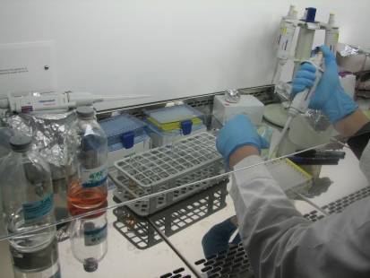 Laboratorium (zdjęcie z Archiwum IF PAN) Laboratorium (zdjęcie z Archiwum IF PAN)