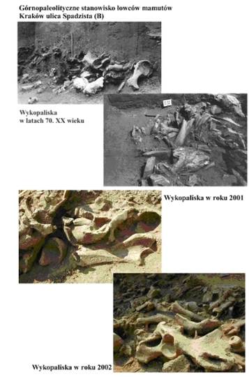 Wykopaliska Wykopaliska