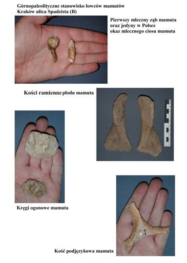 Stanowisko łowców mamutów Stanowisko łowców mamutów
