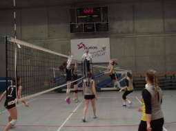 20_03_2015 KOM siatka LIC 2_copy