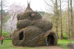 Fot. 16 Tajemnicza architektura z wikliny.jpg