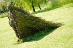 Fot. 5 Tajemniczy, czyli naturalistyczny....jpg