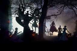 Fot. 8 Teatr cieni.jpg