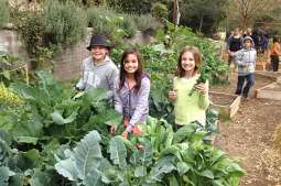 Fot. 11 Permakulturowe 'Poletka Aliny'.jpg