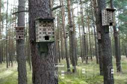 Fot. 14 Budki lęgowe.jpg