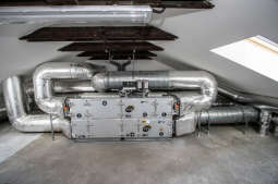 Wizyta prezydenta Krakowa w schronisku dla zwierząt