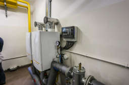 Wizyta prezydenta Krakowa w schronisku dla zwierząt