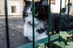 Wizyta prezydenta Krakowa w schronisku dla zwierząt