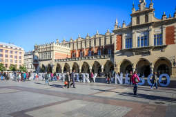 Trzy lata z tytułem Miasta Literatury UNESCO