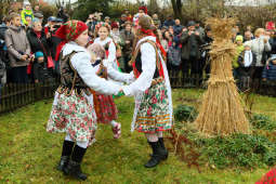 Osadzanie chochoła 2015, fot. A. Janikowski.JPG