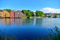 Trondheim 6
