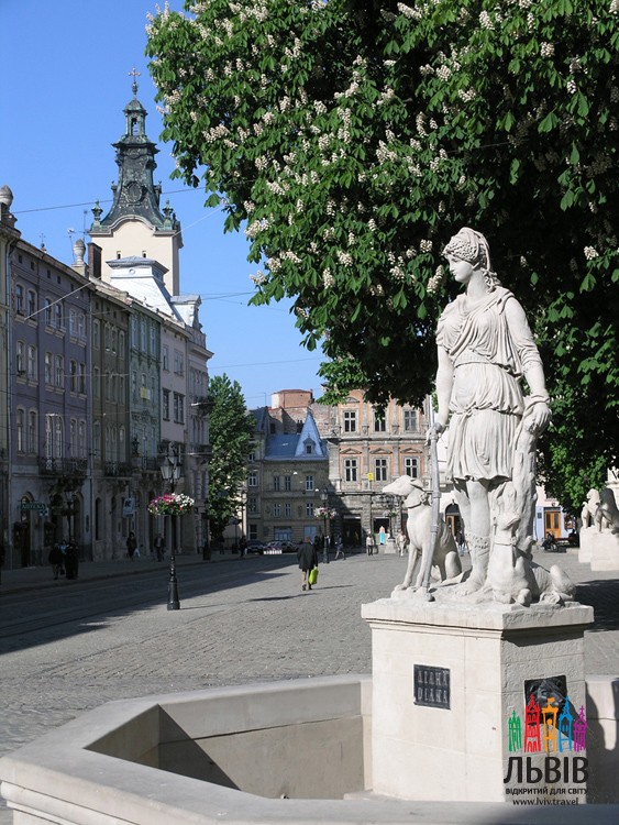 Miasto Lwów