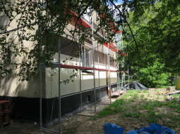 willowe_2494.jpg